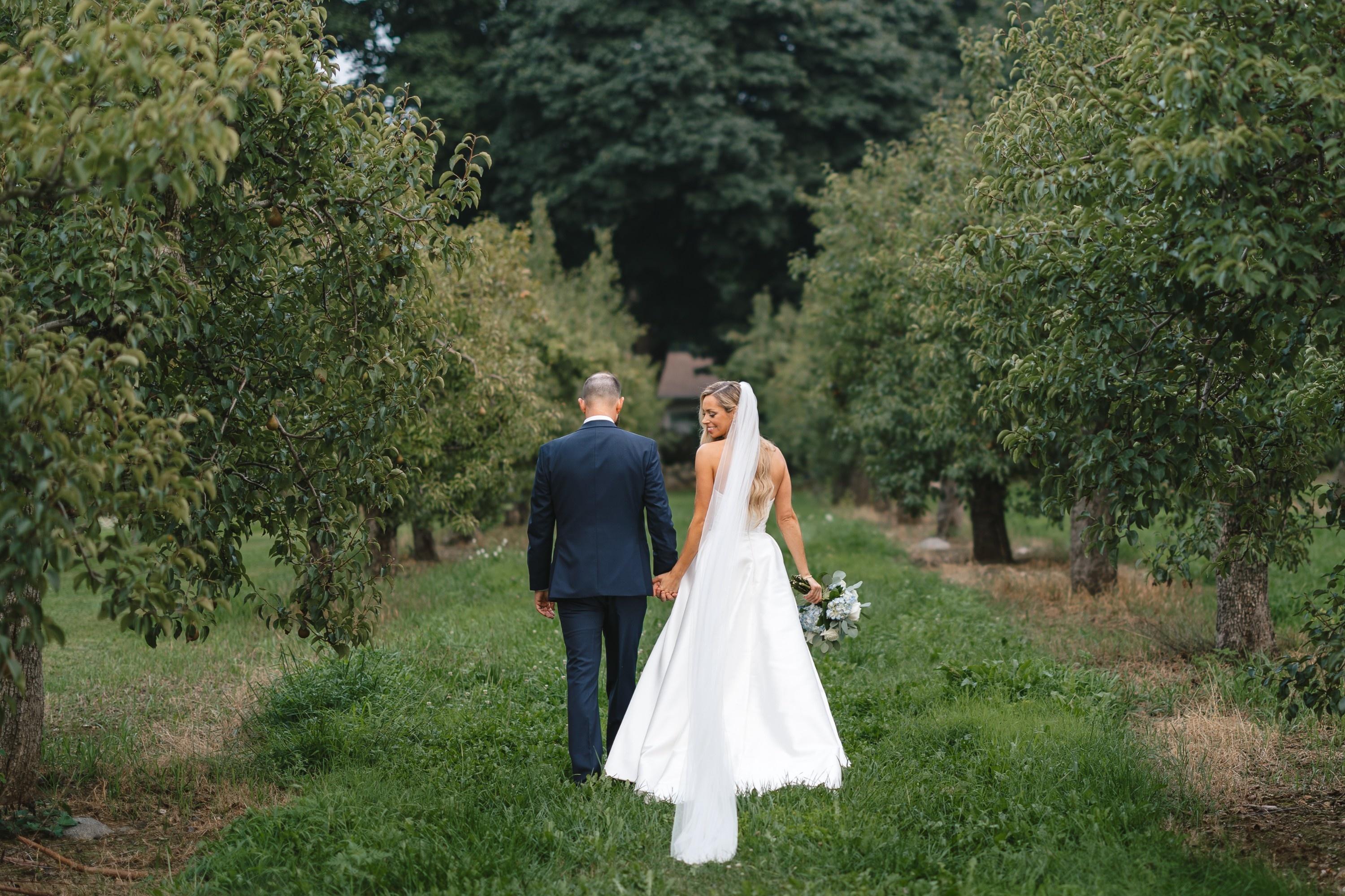 carousel-hero-element image-0